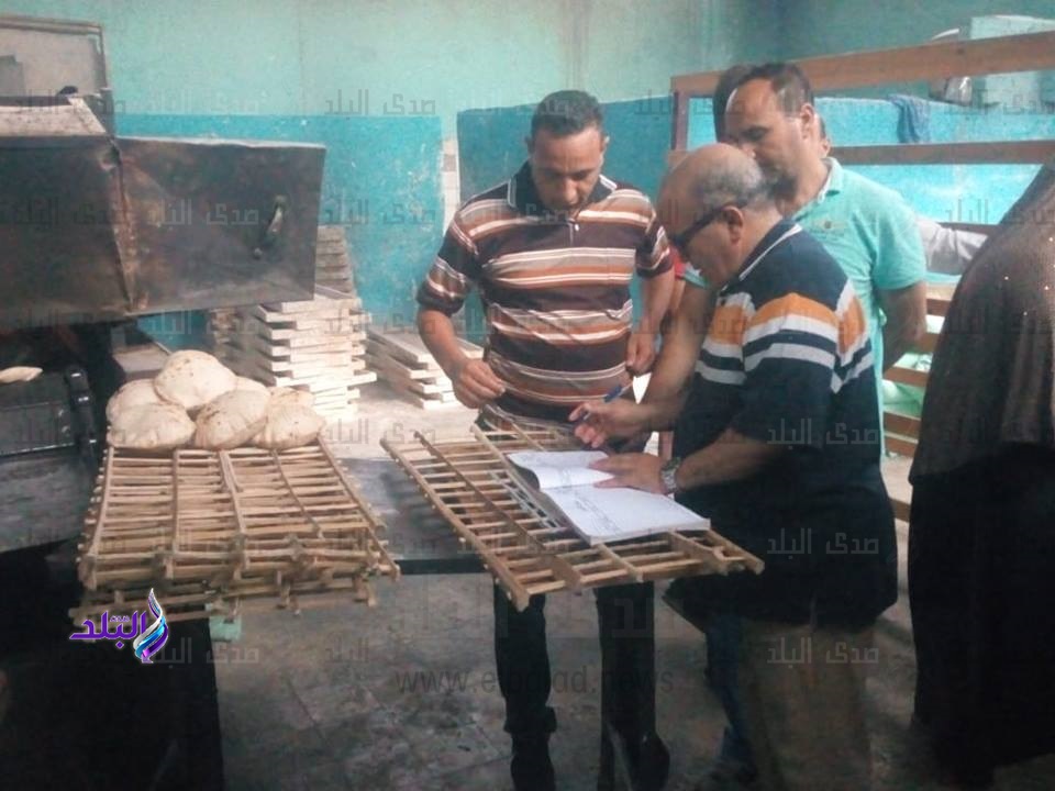 حملة تفتيشية