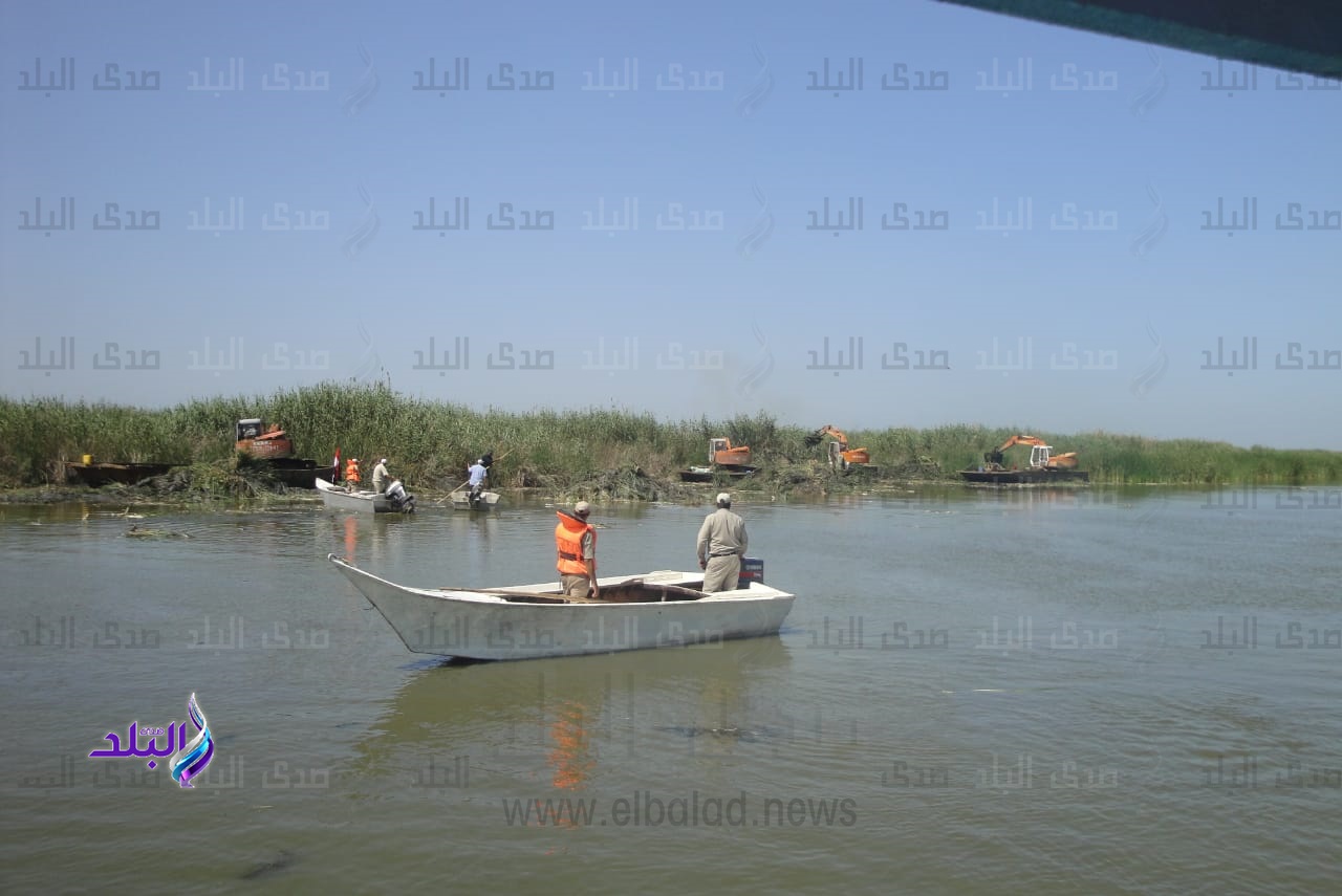 عمليات تطهير بحيرة البرلس