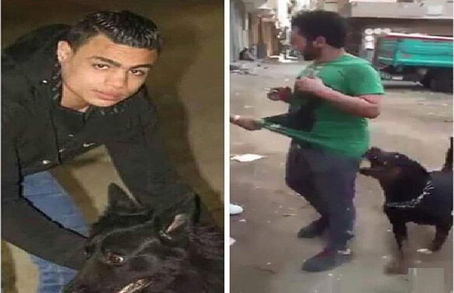 سيد سيكا سيد سيكا