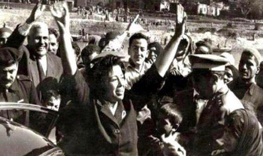 راوية عطية