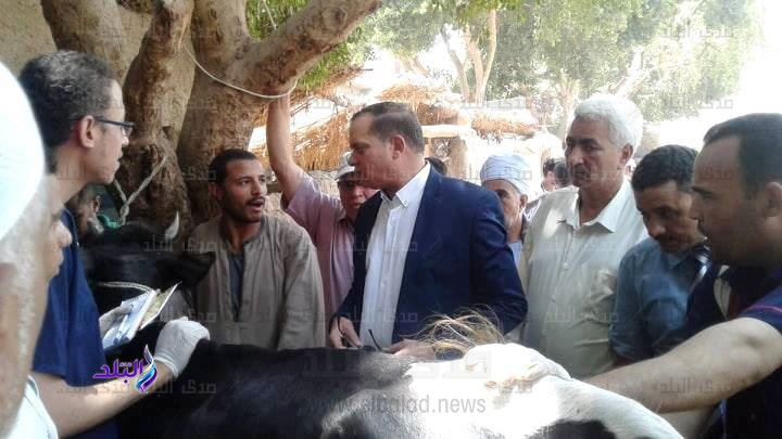 قافلة بيطرية من الجامعة ببلصفورة بسوهاج (9).jpg قافلة بيطرية من الجامعة ببلصفورة بسوهاج (9).jpg