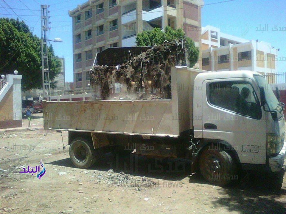 إزالة إزالة