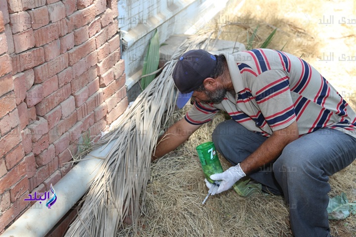 وكيل صحة المنوفية : توفير٣٠مصل الثعابين بمستشفي قويسنا