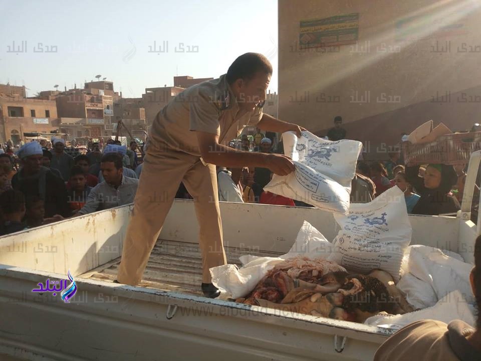 محافظ سوهاج: إعدام 76 كيلو من لحوم غير صالحة للاستهلاك بطما
