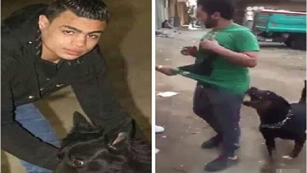 سيد سيكا سيد سيكا