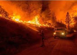 ارتفاع عدد ضحايا حرائق الغابات في اليونان إلى 20 شخصا