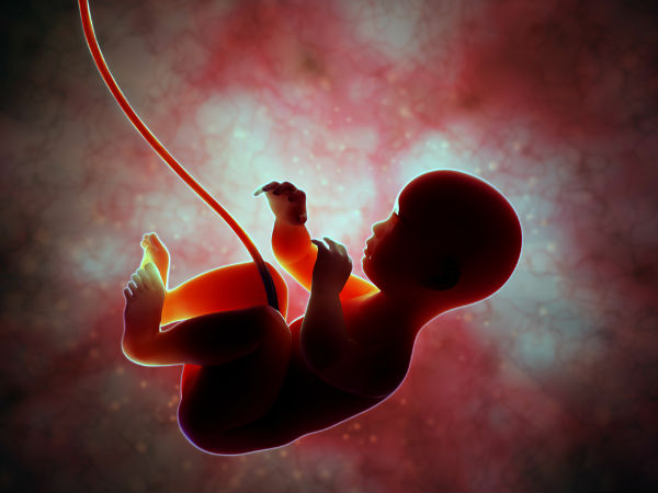 صورة ارشفية 
