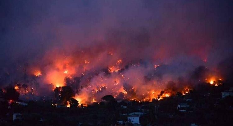 الأزهر ينعى ضحايا حرائق الغابات في اليونان الأزهر ينعى ضحايا حرائق الغابات في اليونان