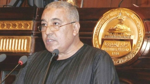 النائب سيد عيسى عضو لجنة الزراعة والرى بالبرلمان