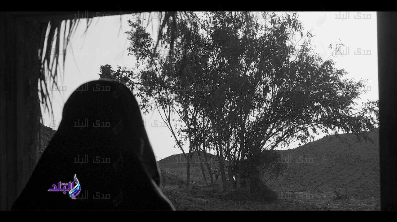  المركز القومي للسينما ينتهي من فيلم ورقة شجر