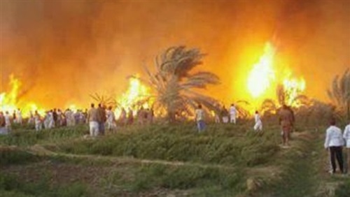 السيطرة على حريق فى مزرعة مانجو بالهرم السيطرة على حريق فى مزرعة مانجو بالهرم