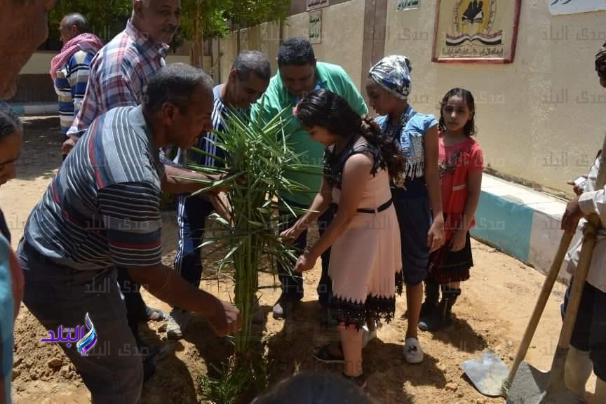 زراعة نخيل مدارس الوادي الأخضر بالوادى الجديد زراعة نخيل مدارس الوادي الأخضر بالوادى الجديد