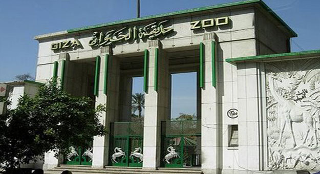 حديقة حيوانات الجيزة حديقة حيوانات الجيزة