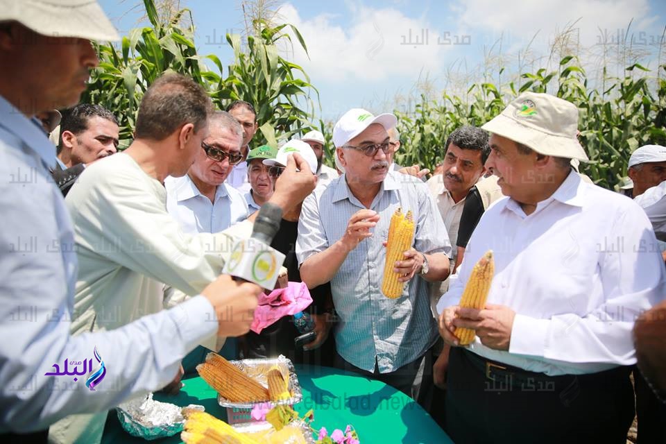 وزير الزراعة ومحافظ كفر الشيخ
