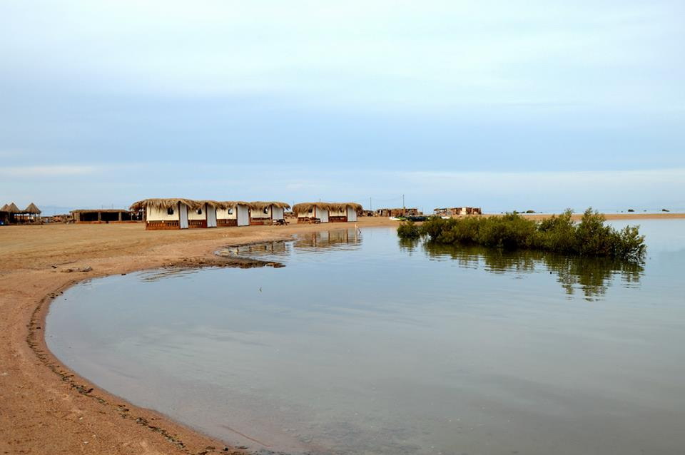 وزيرة البيئة تتفقد محمية نبق بشرم الشيخ وزيرة البيئة تتفقد محمية نبق بشرم الشيخ