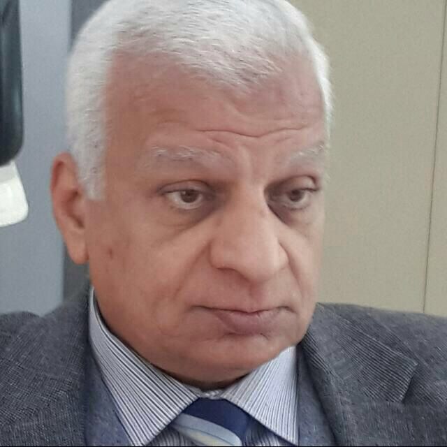 صلاح فهمى 