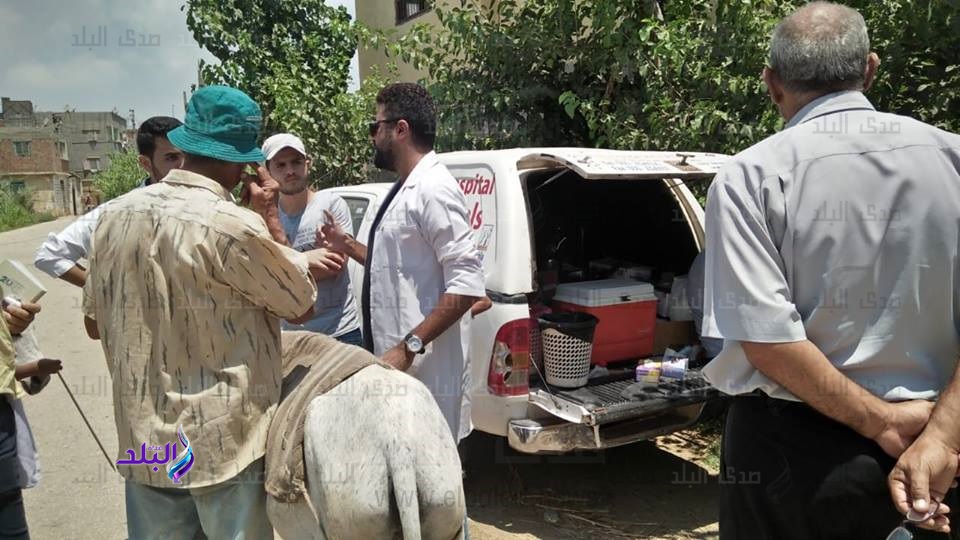 قافلة بيطرية قافلة بيطرية