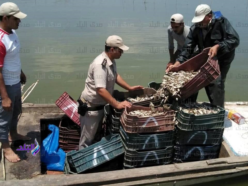 حملة لإزالة التعديات فى بحيرة البرلس