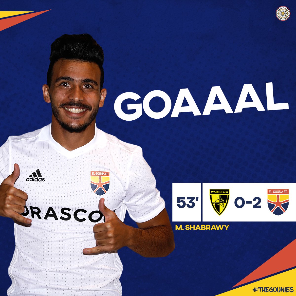 محمد الشبراوي