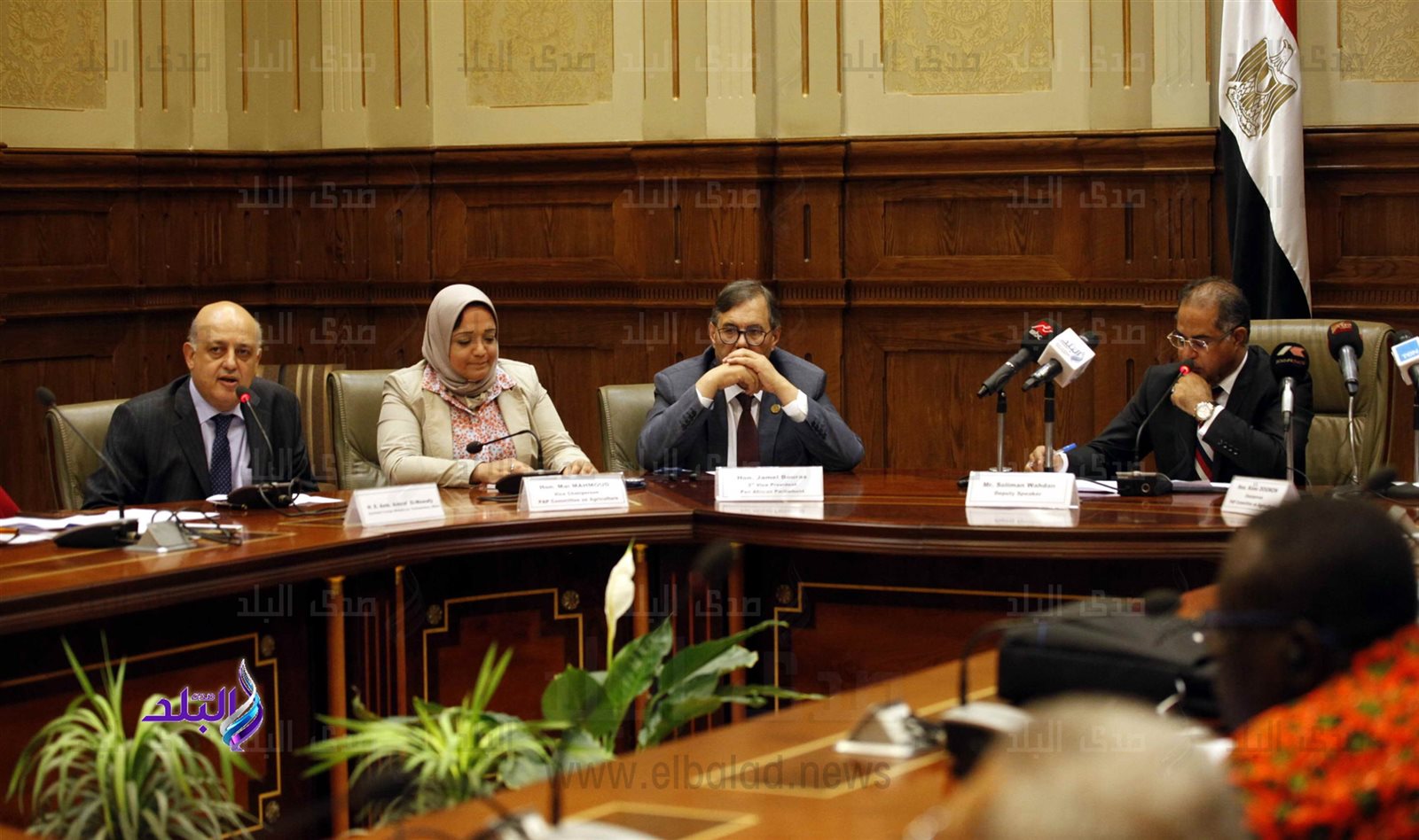 لجنة الزراعة فى البرلمان الأفريقي