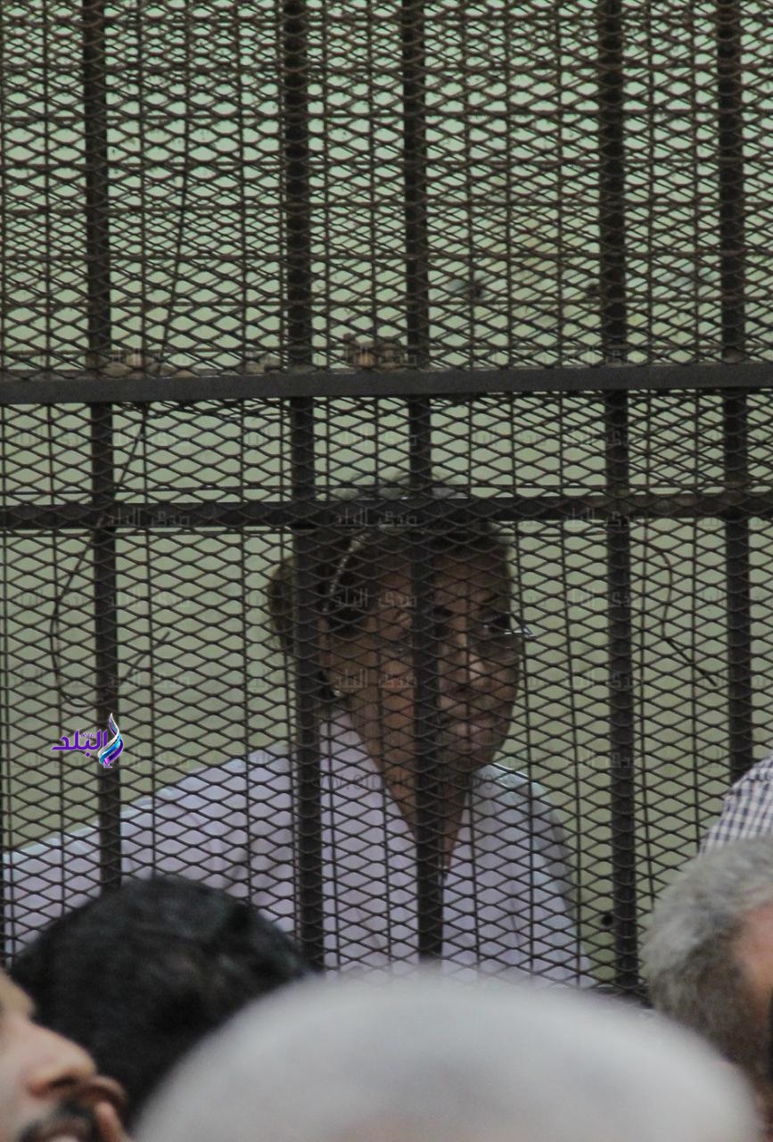 سعاد الخولي نائب محافظ الإسكندرية سابقا