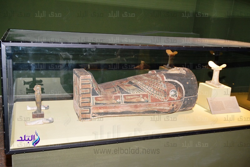 متحف أثار سوهاج متحف أثار سوهاج