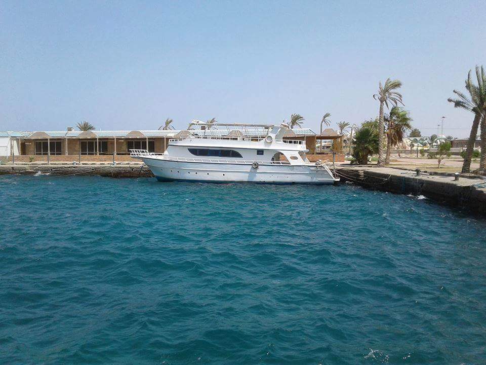 صورة أرشيفية صورة أرشيفية