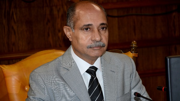 الفريق يونس المصري