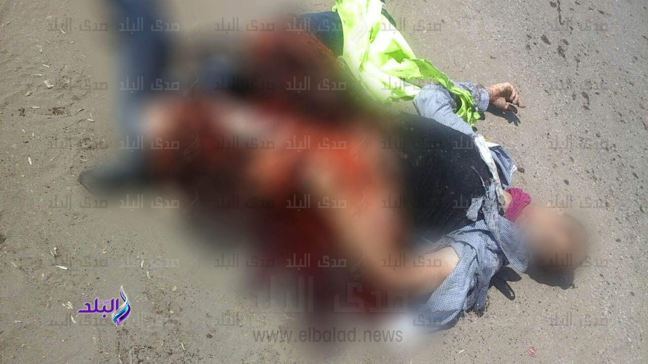 احباط محاولة إرهابية احباط محاولة إرهابية