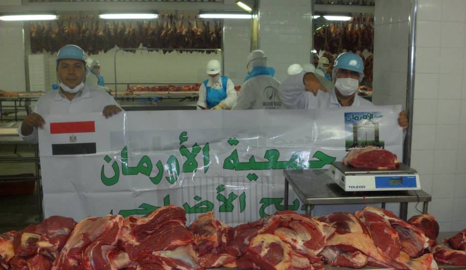 لحوم اضاحى
