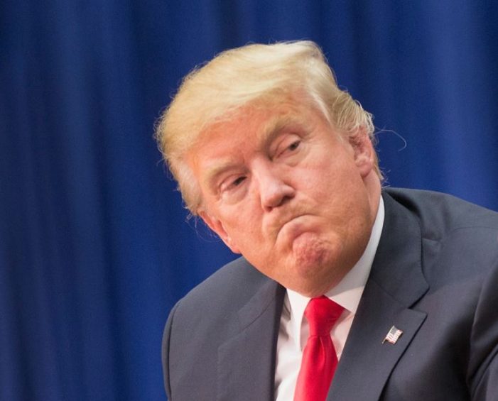 الرئيس الأمريكي دونالد ترامب
