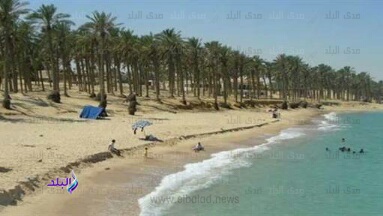 شواطيء سيناء شواطيء سيناء
