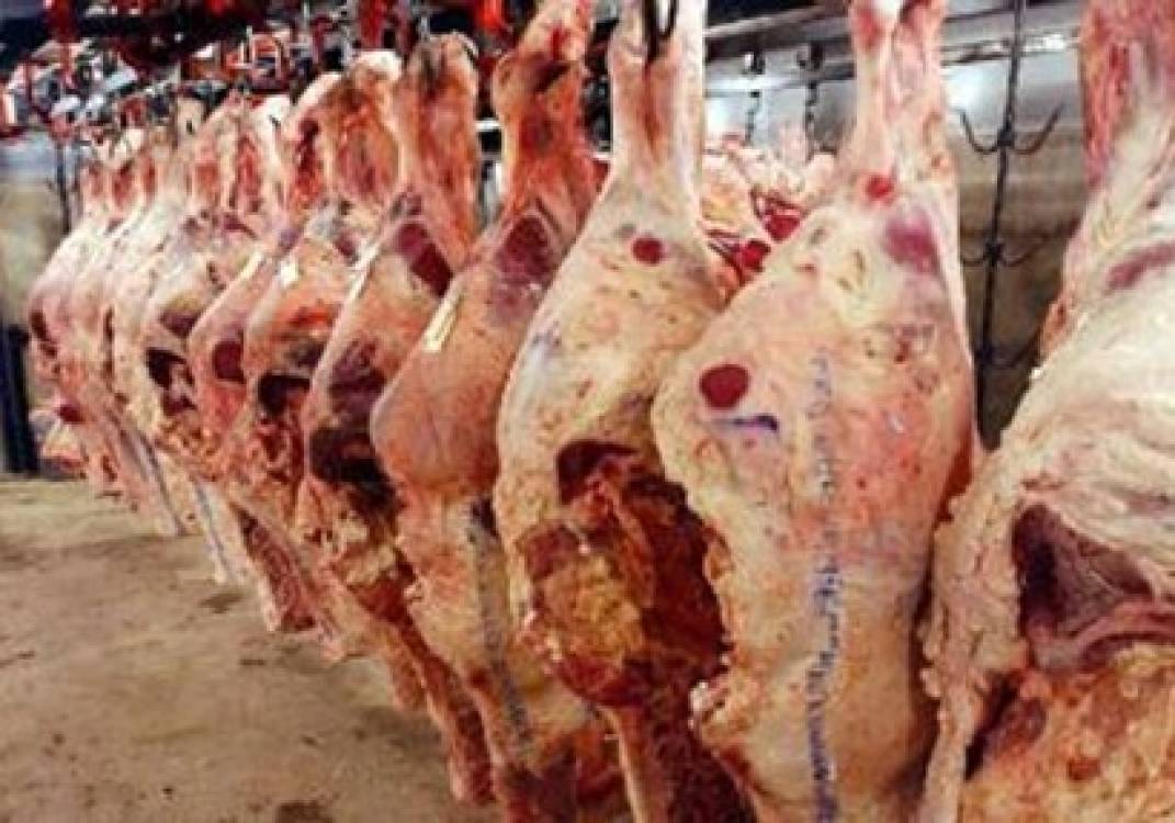 ضبط لحوم فاسدة - أرشيفية ضبط لحوم فاسدة - أرشيفية