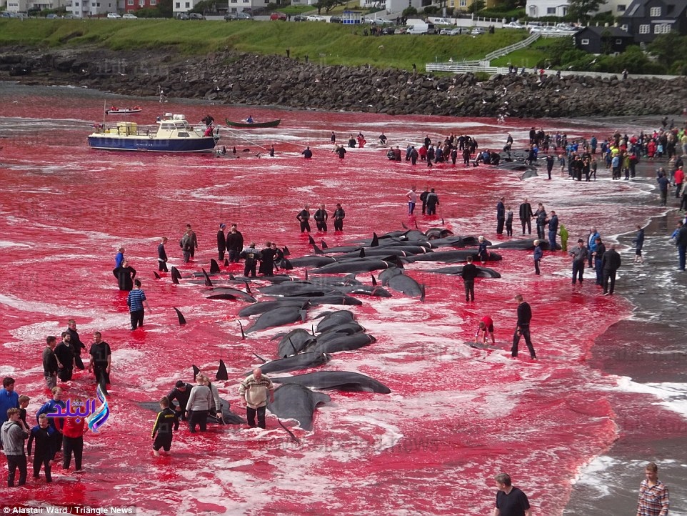 البحر الدموي