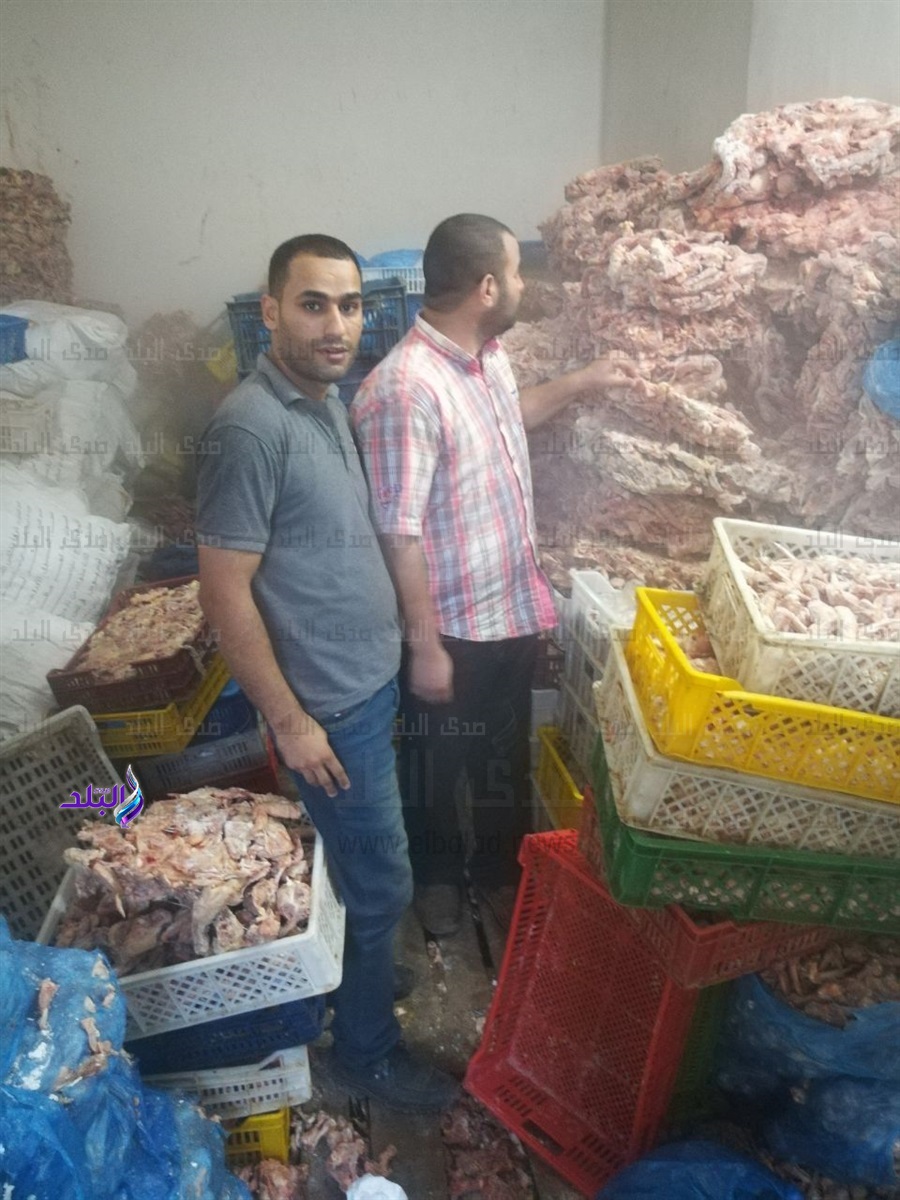 مصادرة 8 أطنان دجاج فاسدة بالبحيرة.. صور