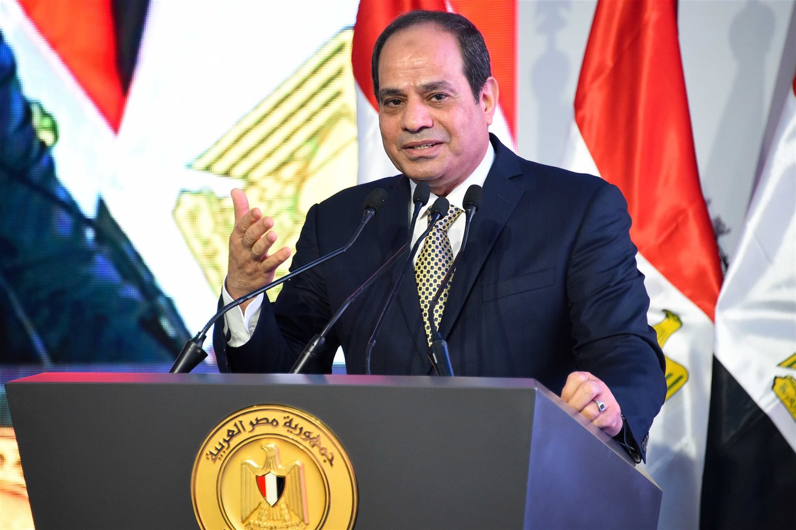 الرئيس عبد الفتاح السيسي الرئيس عبد الفتاح السيسي