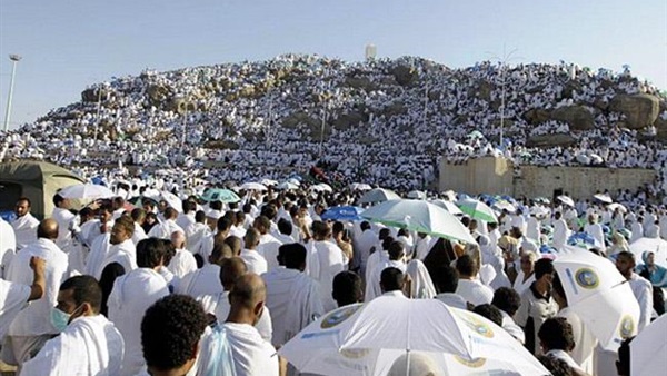 عدد الحجاج عدد الحجاج