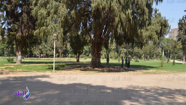 حديقة الاورمان