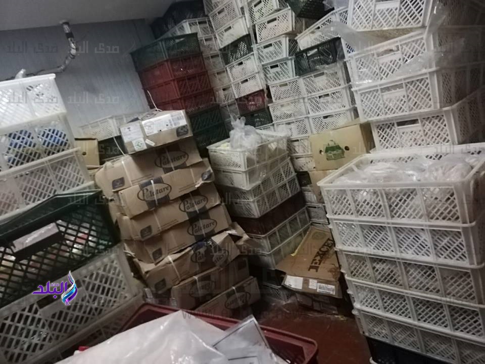 ضبط 2 طن لحوم ودواجن فاسدة في حملة بالبساتين..صور