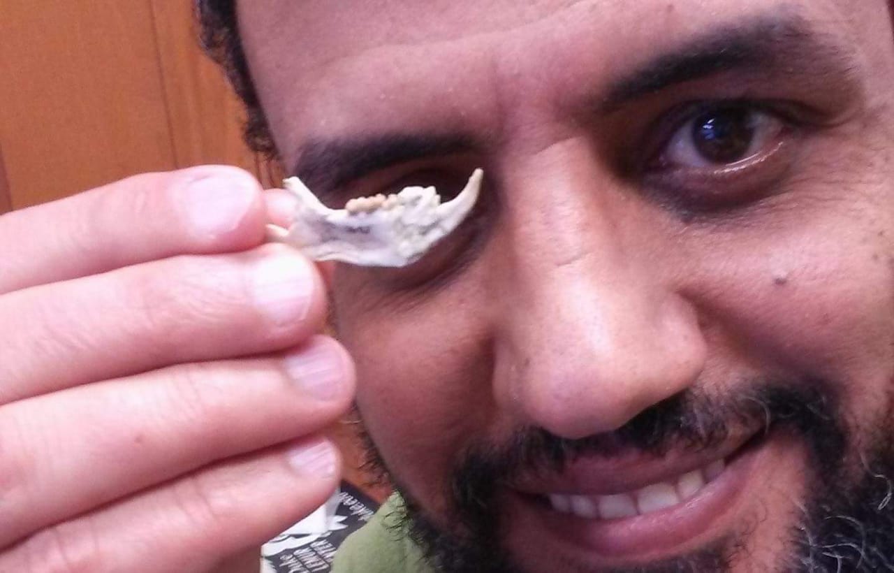 جامعة المنصورة تسجل اكتشاف حفرى عالمى جديد