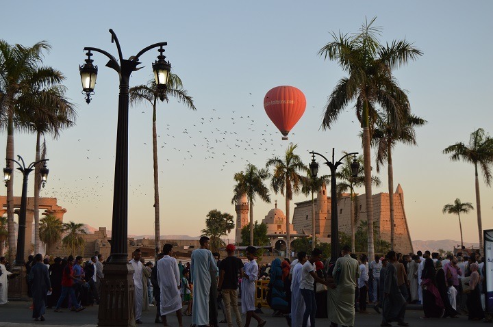 توزيع لحوم 130 عجل على الأسر الأكثر احتياجا بالأقصر