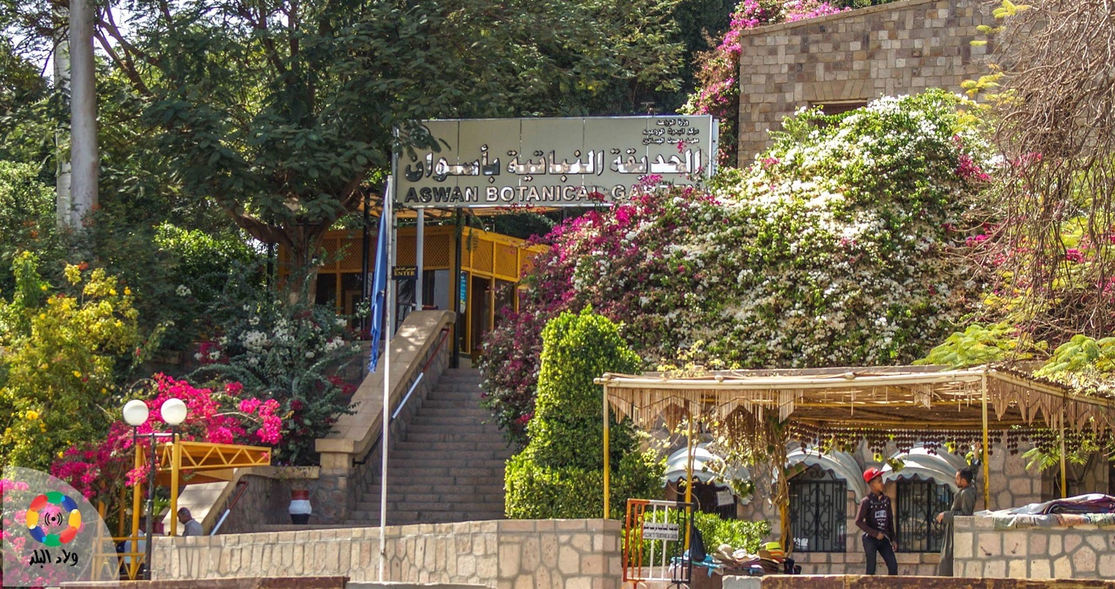 صورة أرشيفية صورة أرشيفية