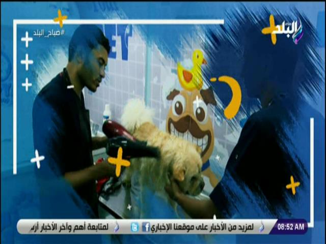 أول سيارة متنقلة في مصر للعناية بالحيوانات الأليفة