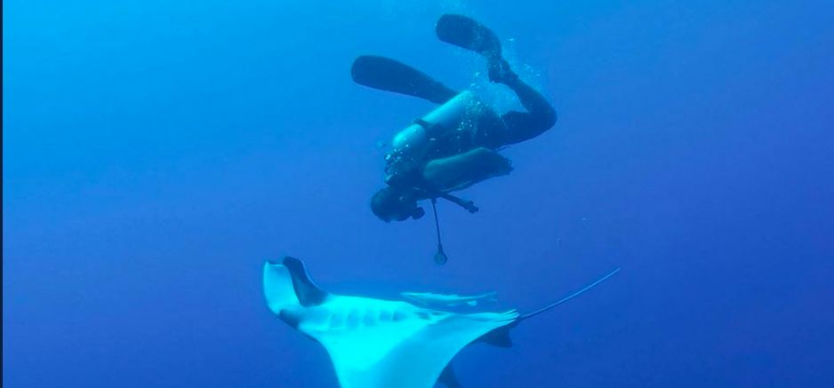 السفير البريطاني يغطس في مرسى علم 