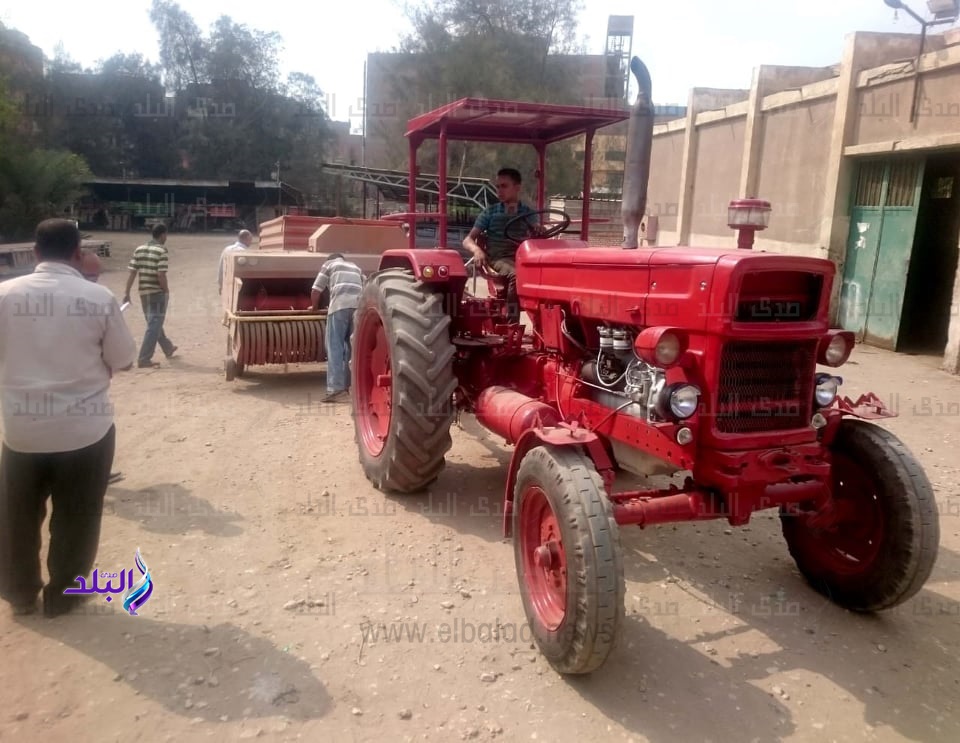 تجميع قش الأرز من المزارعين بكفر الشيخ