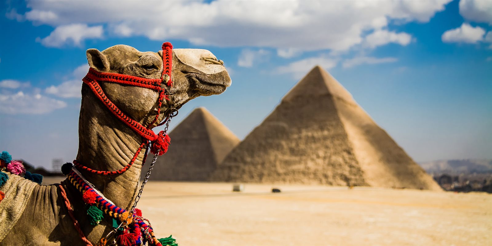 صورة أرشيفية صورة أرشيفية