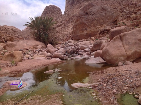 سانت كاترين