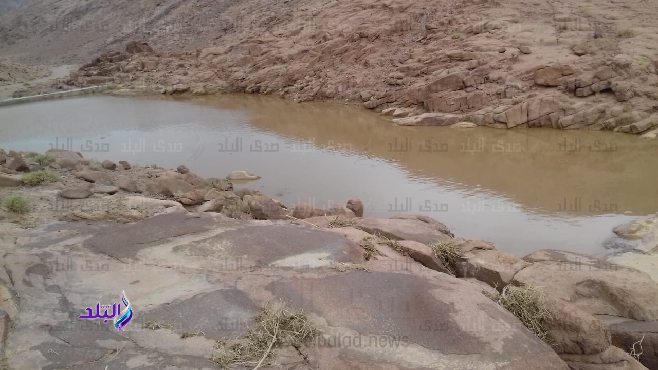 سيول الخير تنعش وديان سانت كاترين سيول الخير تنعش وديان سانت كاترين