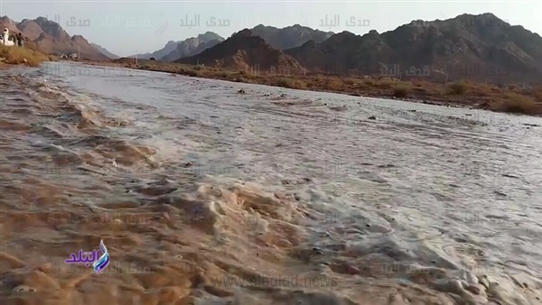 سيول سيول