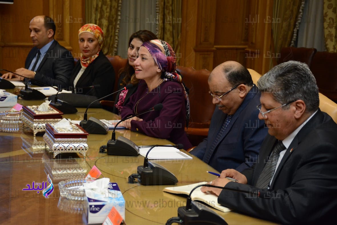 وزراء البيئة والتنمية المحلية والإنتاج الحربي